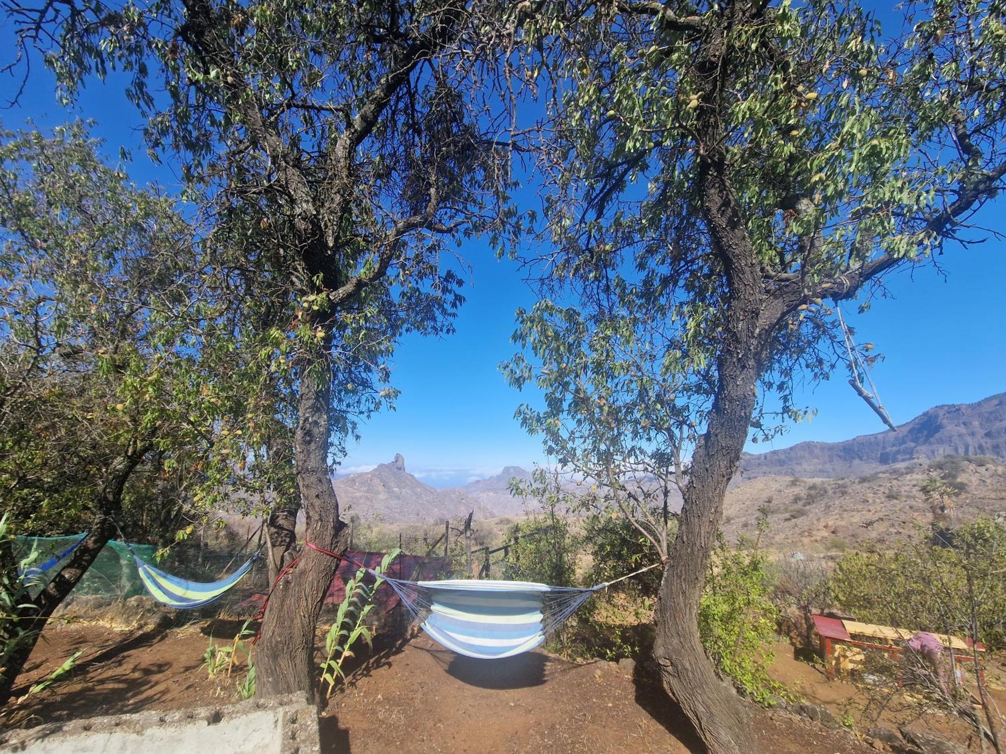 Finca La Isa By Rose Casas Rural Техеда Екстер'єр фото